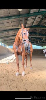 Valach ČT 19 let - 5