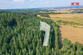 Prodej lesa, 7291 m², Dlouhý Újezd - 5