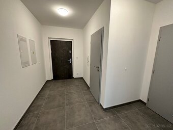 Pronájem slunného bytu 3+kk - 5