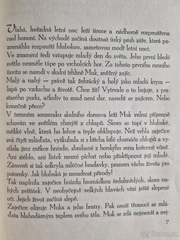 Kniha Ze života sněžného zajíce - 5