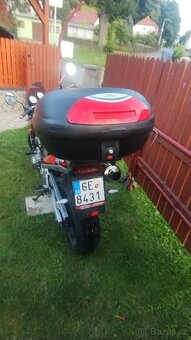 Honda Hornet 600 - 5