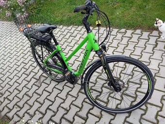 Elektrokolo leader Fox forenza - 5
