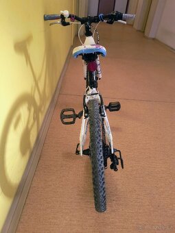 Superior Paint 20 - 5