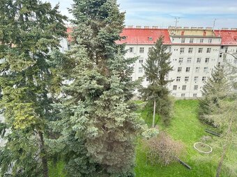 Prodej bytu 1+1, Šmeralova, 5. patro bez výtahu, blízko univ - 5