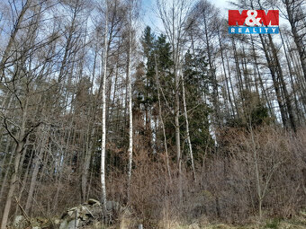 Prodej lesa, 5083 m², Zálezly - Setěchovice - 5