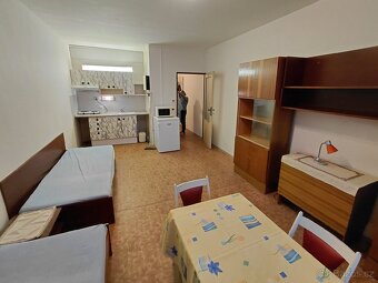 Pronajmu garsonku - 5