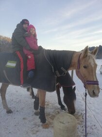 Vyjížďky na koních, trénink děti a dospělých - 5