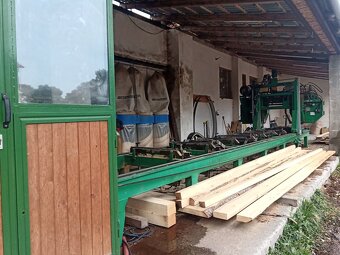 Kmenová pásová pila - 5