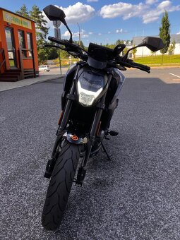 CF moto 300 NK - 5