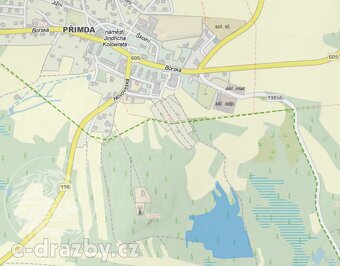Lesní pozemky, 60 208 m2 , obec Přimda, okr. Tachov - 5