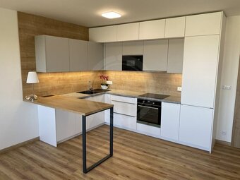 PRONÁJEM BYTU 1+KK S TERASOU A PARKOVACÍM STÁNÍM, ČESKÉ VRBN - 5