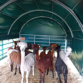 Plachtový přístřešek pro zvířata - SLEVA 10% - 5