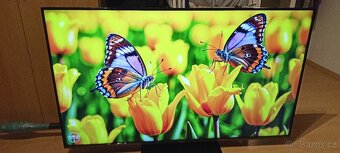 TV Panasonic Led Smart Android 4K 140 cm 55 palcu - 5