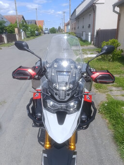 TRIUMPH TIGER 900 RALLY PRO - 5