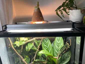 Terarium 60x45x90 - 5