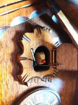 Hezke,  kukacky, Schwarzwald - 5