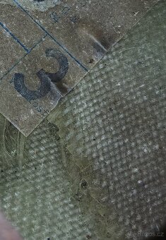 Cassida - velikost 3 - 5