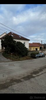 Arboristické služby – kácení, prořez, údržba stromů - 5