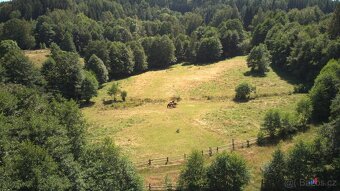 Prodej pozemku 3 027 m2 - Olešnice v Orlických horách - 5