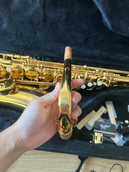 Roy Benson TS-202 Tenorový saxofon - 5