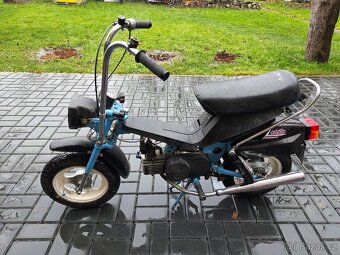 MOKIK Babetta - STELLA vzácná - 5