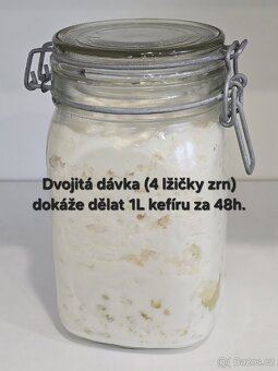 Tibetská houba, kefírová zrna. VR a TU. Balíkovna 83Kč. - 5