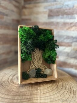 Mechové obrázky - 5