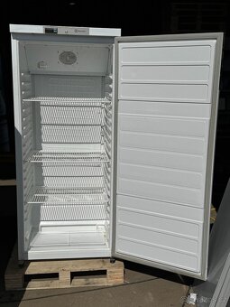 Profi lednice 70x65x155cm - 5