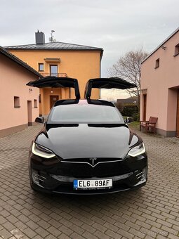 Tesla X 100D, 6 mist, 2019 - 5