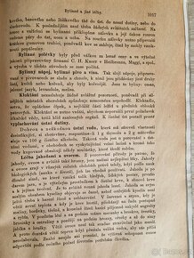 Bylinkářství 1900? Kniha o domacím léčení velmi používaná. - 5