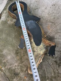 Krokodýli dekorativní jako živí, 39 cm, 2ks - 5