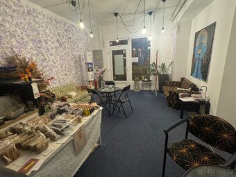 Pronájem obchodního prostoru, ul. Vídeňská třída, Znojmo - 5