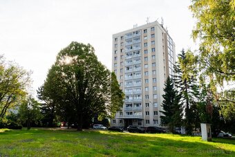 Pronájem bytu 2+kk, Říčany u Prahy, - 5