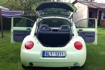 New Beetle - 5