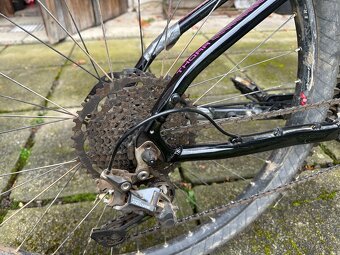 Elektrokolo Pells - 5