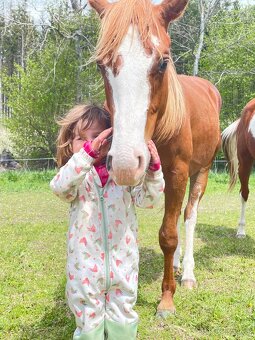 Valášci PH a QH - 5