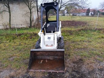 Bobcat Clark 313 - 5