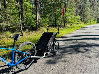 Thule Chariot Sport - 5