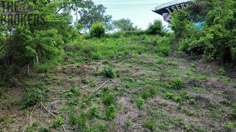 Isery Main Road, Roatan - 5