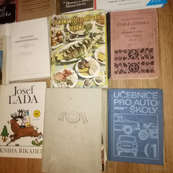 PRODÁM RŮZNÉ STARÉ KNIHY - UMĚNÍ HISTORIE, MÍSTOPIS AJ. - 5