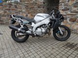 YAMAHA YZF 600R THUNDERCAT - 5