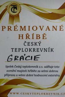 Klisnička ČT do druhého roku - 5
