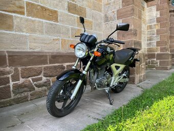 Honda CBF 250 - 5