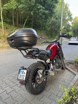 Benelli Leoncino 500 – Rok 2018 – 4 500km - 5
