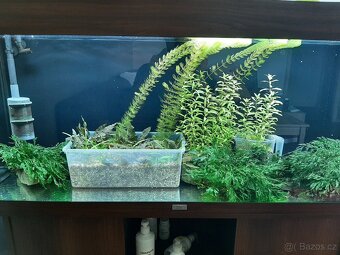 Akvarium - 5
