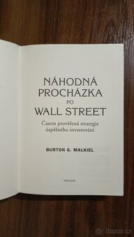 Náhodná procházka po Wall Street - 5