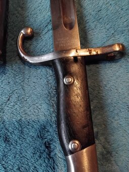 Argentinský bodák - 5