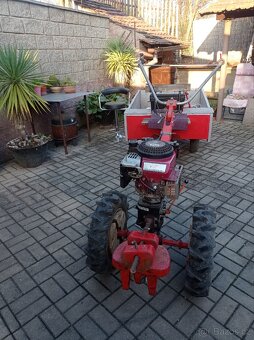 Prodám Tera Vari Briggs - 5