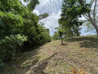 Lot 1 Bodden Bight Estate, Roatan - 5