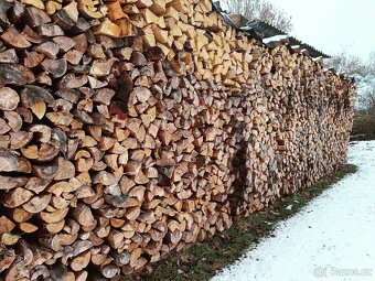 Suché palivové dřevo - 5